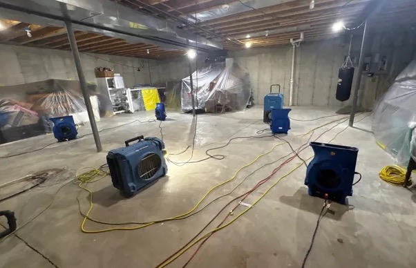 Basement Mold Cleanup in Columbus, OH