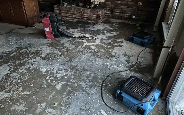 Tree Removal from Structures in Columbus, OH